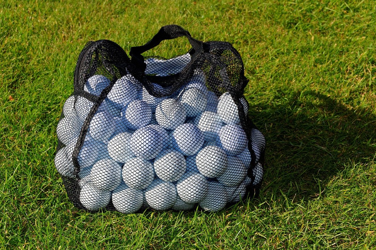 Mami's Golf Diary: ぶっちゃけ、Amazonベーシックの練習ネットってどう?元キャディーが室内・屋外で試してみた!
